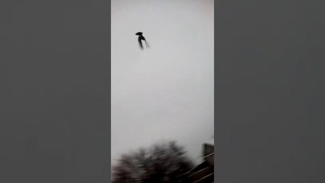 Ленинаканские голуби часть 1 смотреть онлайн