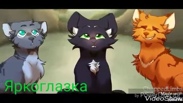 Белка,Уголёк,Ежевика||~Ты теперь мой садист~||