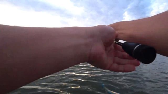 Бюджетный спиннинг Kaida Paladin очень интересный спиннинг часть 2