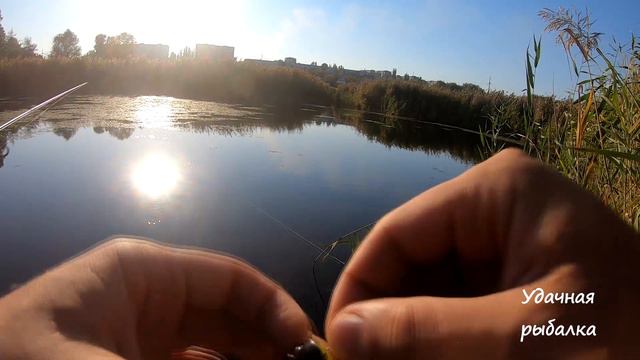 А как Вы ловите в подобных местах?! смотреть онлайн