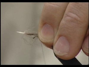 CDC emerger