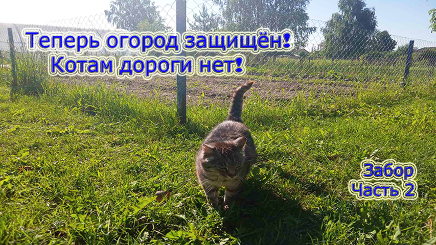 Ставим забор из сетки рабица Своими руками! смотреть онлайн