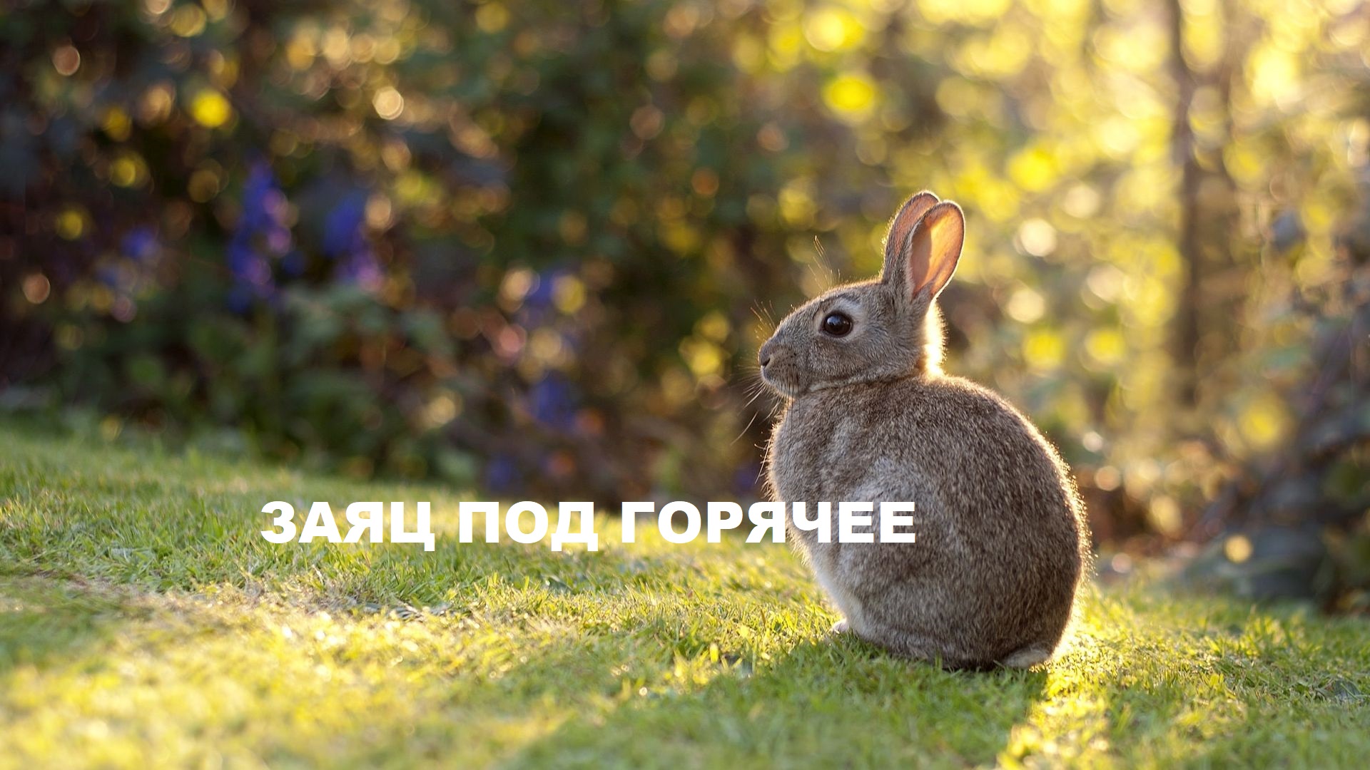 Подарки своими руками. (2022г) смотреть онлайн