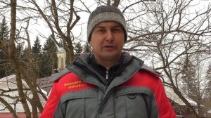 Нужно ли обрабатывать спилы и срезы после обрезки