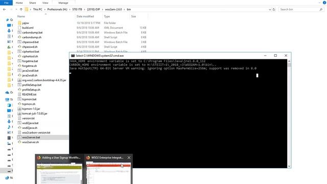 WSO2 API Manager & WSO2 Business Process Server Integration Single Node смотреть онлайн