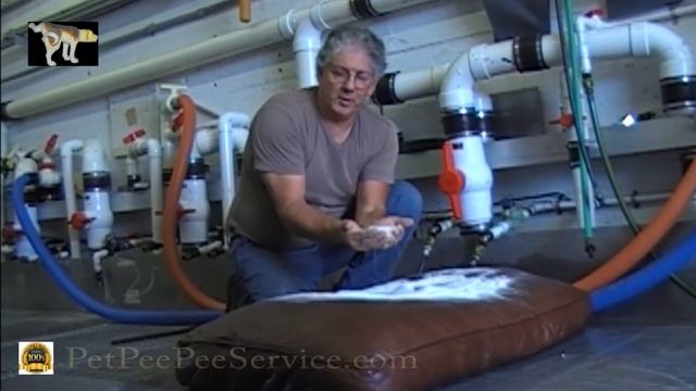 Ask PetPeePee company-How To Remove Cat and Dog Urine From Upholstery смотреть онлайн