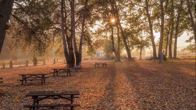 Grieg - Peer Gynt Suite no 1, Op 46 смотреть онлайн