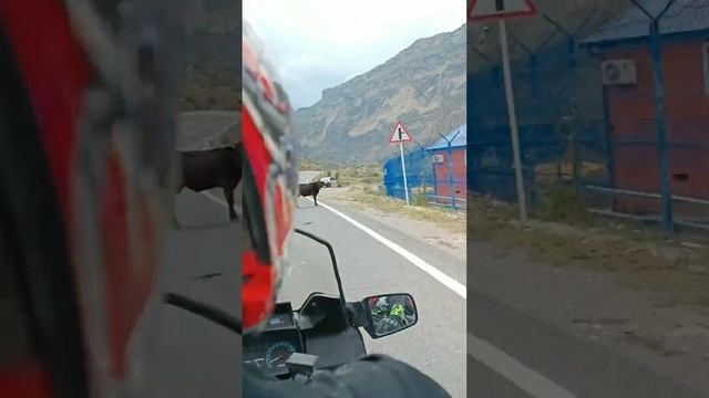 Путешествие Симферополь-Южная,северная Осетия-Дербент