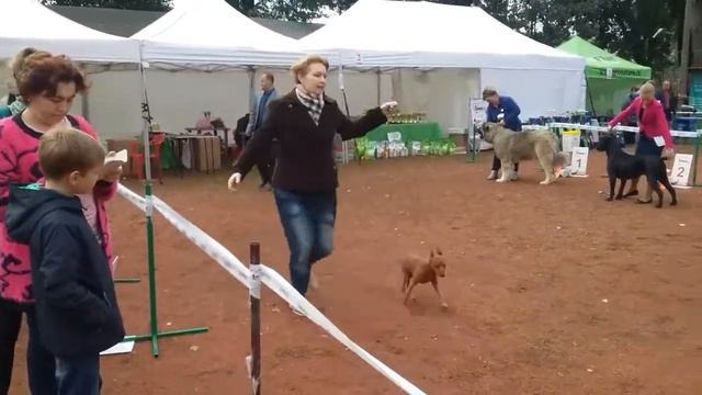 Золотая Осень Петербурга клуб КАС 16.09.2017. BIG смотреть онлайн