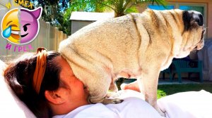 Я ржал до слез 30 минут Русских приколов 2021 | Смешные видео - лучшие приколы #1