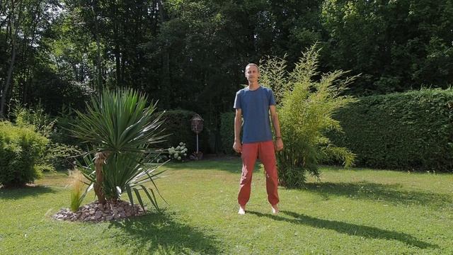 [COURS] ??♂️Qi Gong débutants ? Soulever les talons 7 fois ? смотреть онлайн