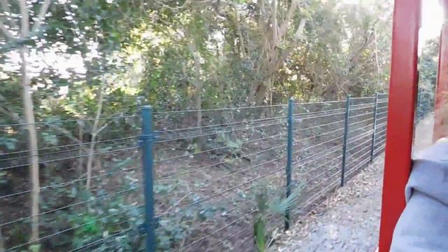 Walt Disney World Railroad Ride Along Fantasyland-Frontierland смотреть онлайн