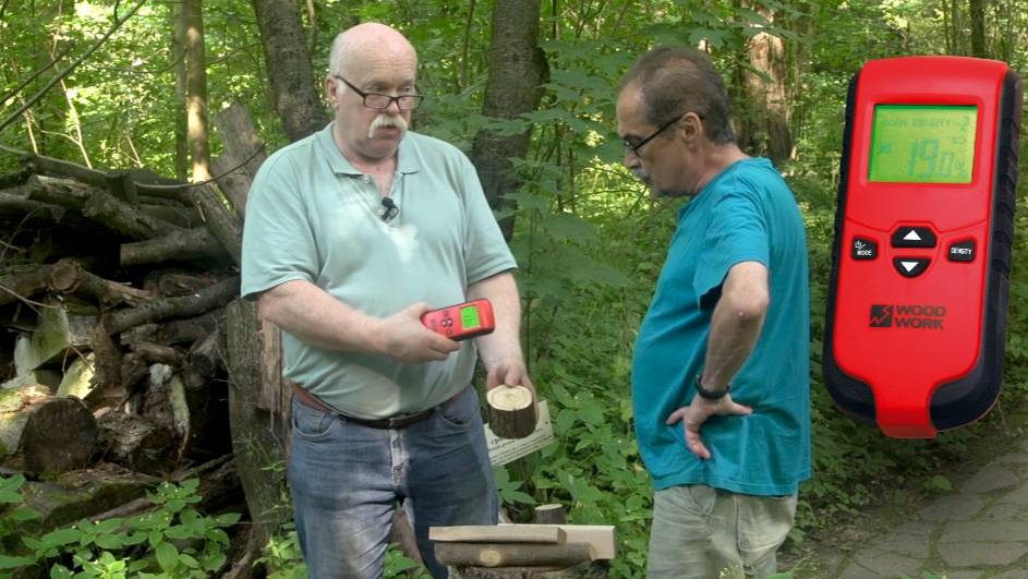 Чем и как измерить влажность древесины | Индуктивный влагомер MT-02 WOODWORK | Ботанический сад МГУ смотреть онлайн
