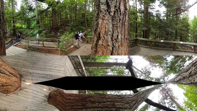 Capilano Suspension Bridge Park VR Experience смотреть онлайн