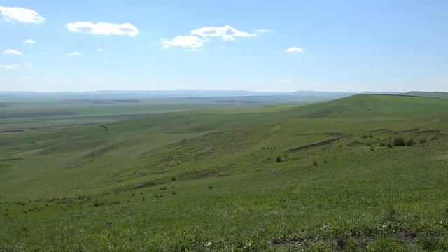 Дикие пионы -лахмачи– Ставрополья смотреть онлайн