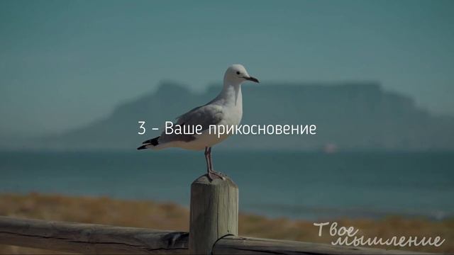 5 вещей, которые нужны мужчинам в отношениях смотреть онлайн