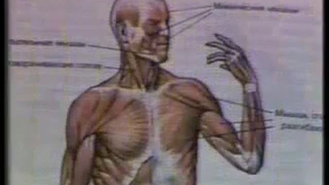 Опоры - механизм движения смотреть онлайн