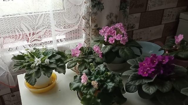 Приснился странный сон... смотреть онлайн