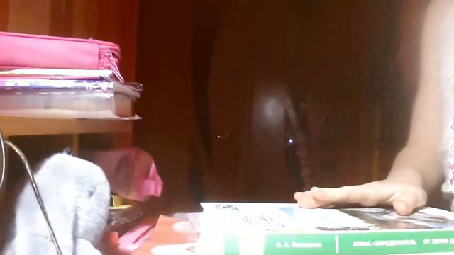Новые Школьные Тетради и старые учебники. смотреть онлайн