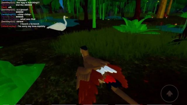 New Feather Family (Jeholornis)￼