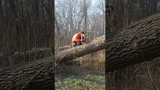 Мы с братом нашли стул! Что же с ним случилось?! смотреть онлайн