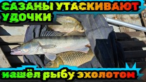 САЗАНЫ утаскивают удочки. Нашел рыбу ЭХОЛОТОМ. Рыбалка Астрахань Август 2024 Бузан.