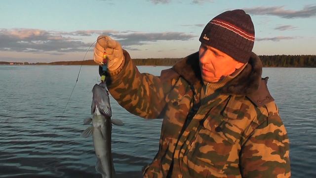 РЫБАЛКА НА МОЛОГЕ!!! ИЮНЯБРЬ 2017г смотреть онлайн