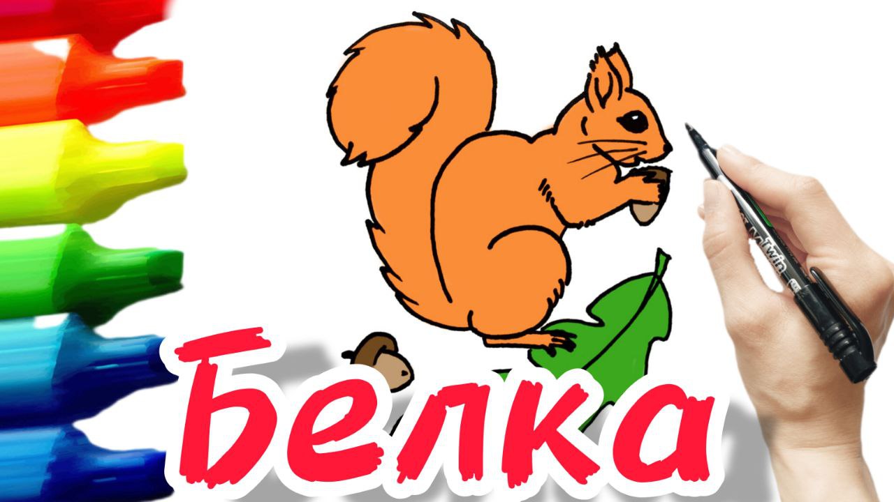 Как нарисовать белку смотреть онлайн