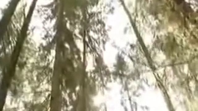 Советы профессора Неумывакина смотреть онлайн