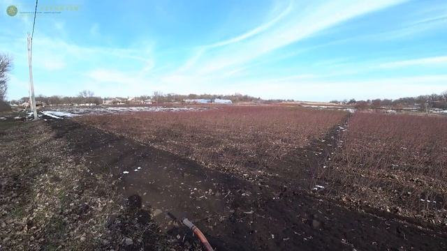 Нитроаммофоска весной под розы + новое удобрение! смотреть онлайн