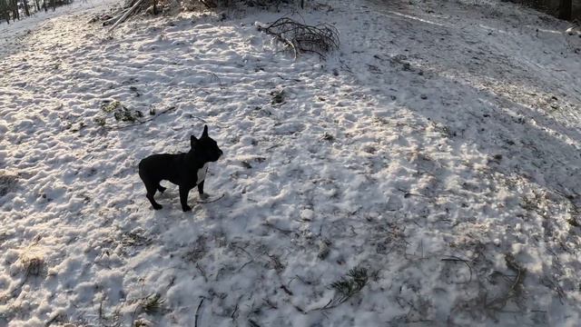 Море греет в жуткий холод / Лёд на озере под нами треснул - Вентспилс, Латвия / 08.01.2024 смотреть онлайн
