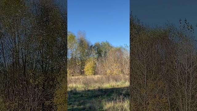 ЧП смотреть онлайн