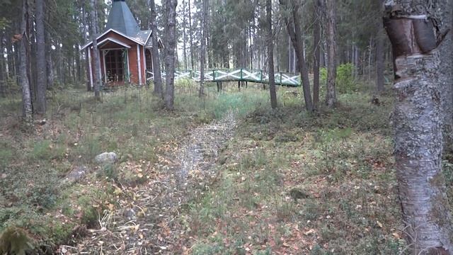 ИСТОК реки ЗАПАДНАЯ ДВИНА , поездка в лес на исток Западной Двины смотреть онлайн