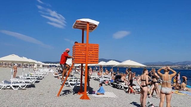 Геленджик пляж Сады Морей. Кошачья семейка. смотреть онлайн