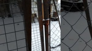 Бюджетные и надёжные петли для садовой калитки своими руками