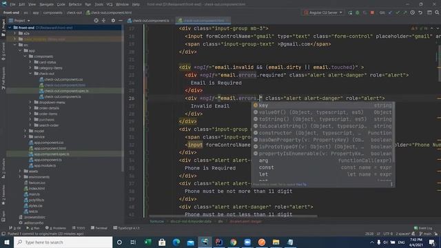 Handle alerts errors With Angular Validation (email) смотреть онлайн