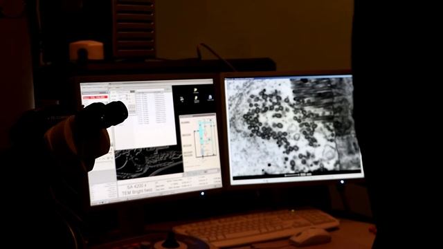 Экскурсия в институт эволюционной физиологии и биохимии им. И. М. Сеченова смотреть онлайн