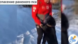 ?  ? РЖАЛ ДО СЛЕЗ? ПРИКОЛЫ? УДАРЫ ПО ЯЙЦАМ СМЕШНЫЕ ПАДЕНИЯ ? И СМЕШНЫЕ НЕУДАЧИ ИСПУГИ ЛЮДЕЙ