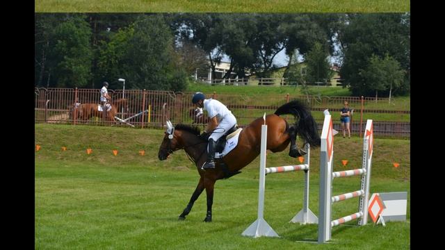 CIC3* Михаил Настенко (RUS) смотреть онлайн