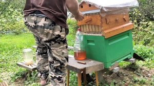 Выкачка меда из потокового улья Flow hive (Китай)