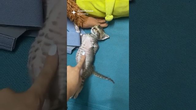 как же жизнь хороша да ?