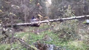 Вездеход АРГО! Пробили колесо на болоте! Как вернуться обратно?!