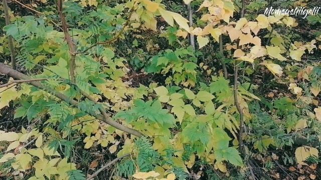 Поддержание и наведение чистоты дома | Уборка каждый день | Приготовление домашней еды смотреть онлайн