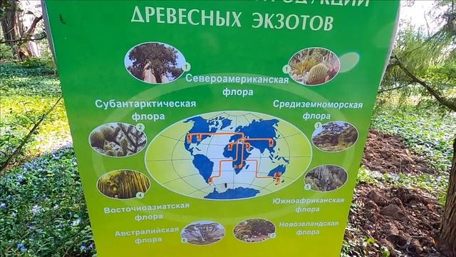 ▶️ КРЫМ 2023 / ПАЛЬМОВАЯ АЛЛЕЯ / БАМБУКОВАЯ РОЩА/ НИКИТСКИЙ БОТАНИЧЕСКИЙ САД / ЯЛТА ПАРАД ТЮЛЬПАНО смотреть онлайн