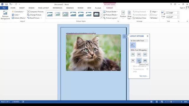 Word 2013 - Tutorial 02 - Insert Image And Layout смотреть онлайн