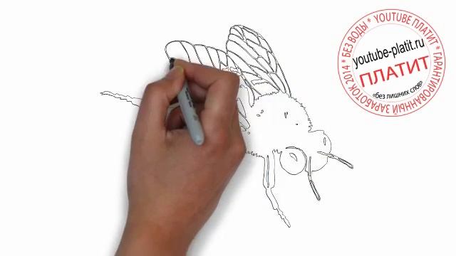 Как нарисовать свирепую муху карандашом смотреть онлайн