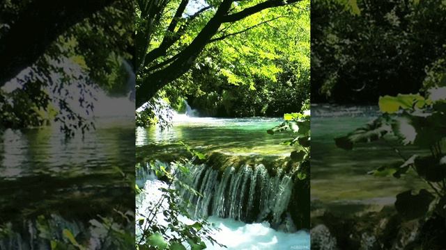 Произведение « Уважайте простых» . Автор Парвиз. смотреть онлайн