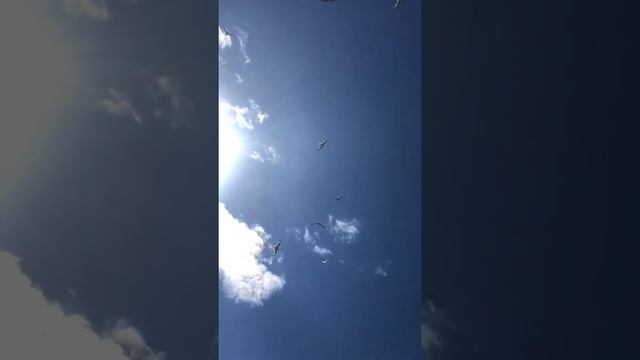 Природа в Объективе