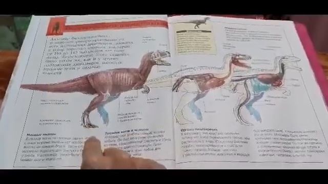 О ДИНОЗАВРАХ. Страшно интересно. ЧАСТЬ 1. смотреть онлайн