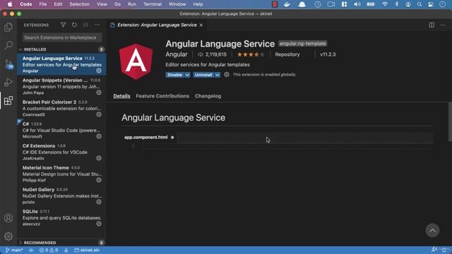 076 Adding VS Code extensions for Angular смотреть онлайн